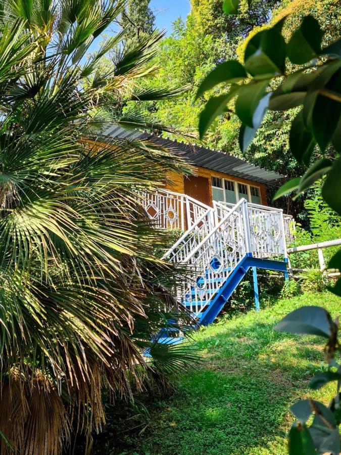 Baza Otdyha Miya Hotel Гудаута Екстериор снимка