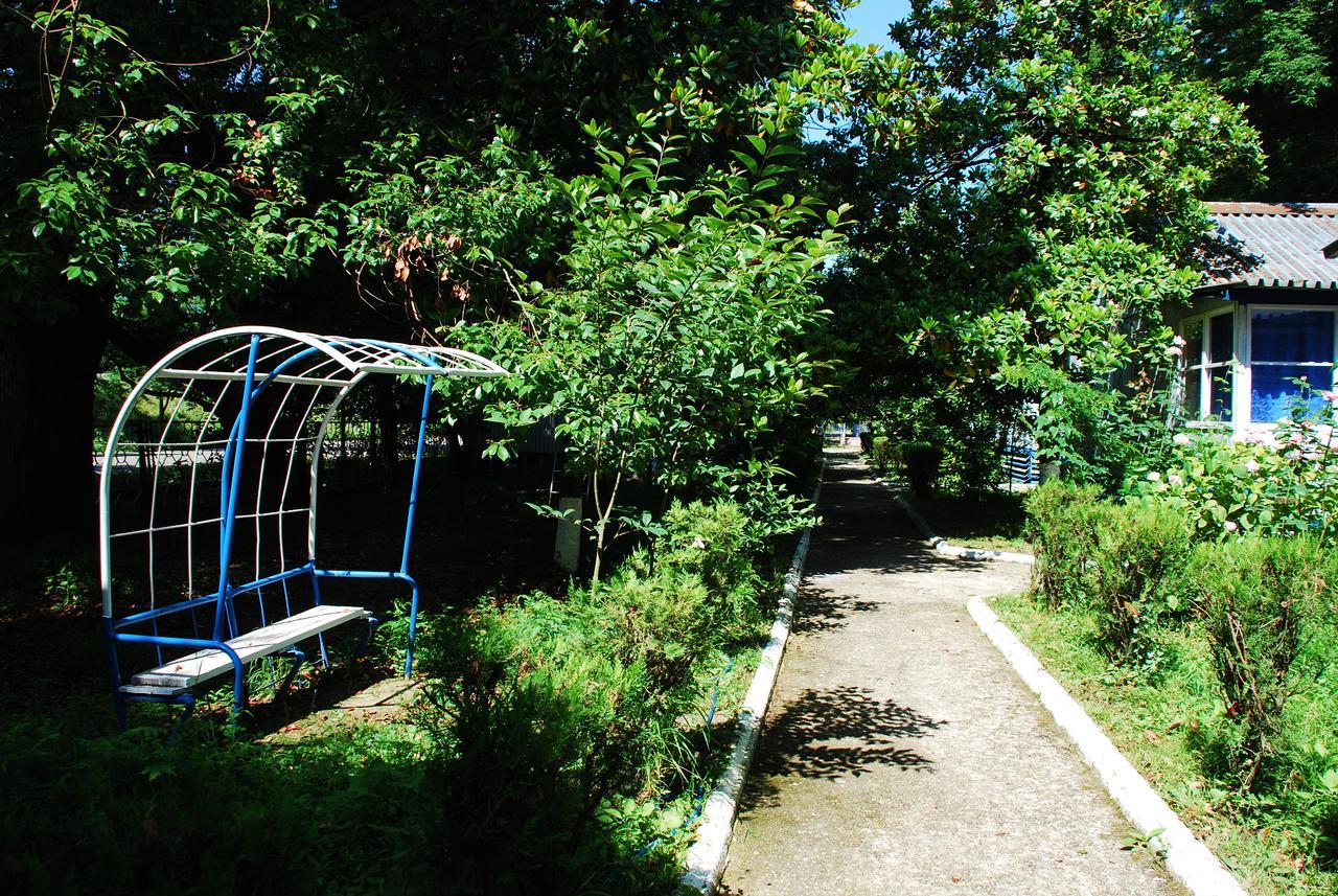Baza Otdyha Miya Hotel Гудаута Екстериор снимка